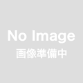 ロートアルミ飾り付面格子（RKM3）アルミブラケット付